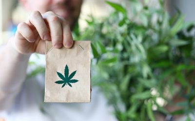 The Economic Boom: How Minnesota’s Cannabis Legalization COULD Transform the Business Landscape